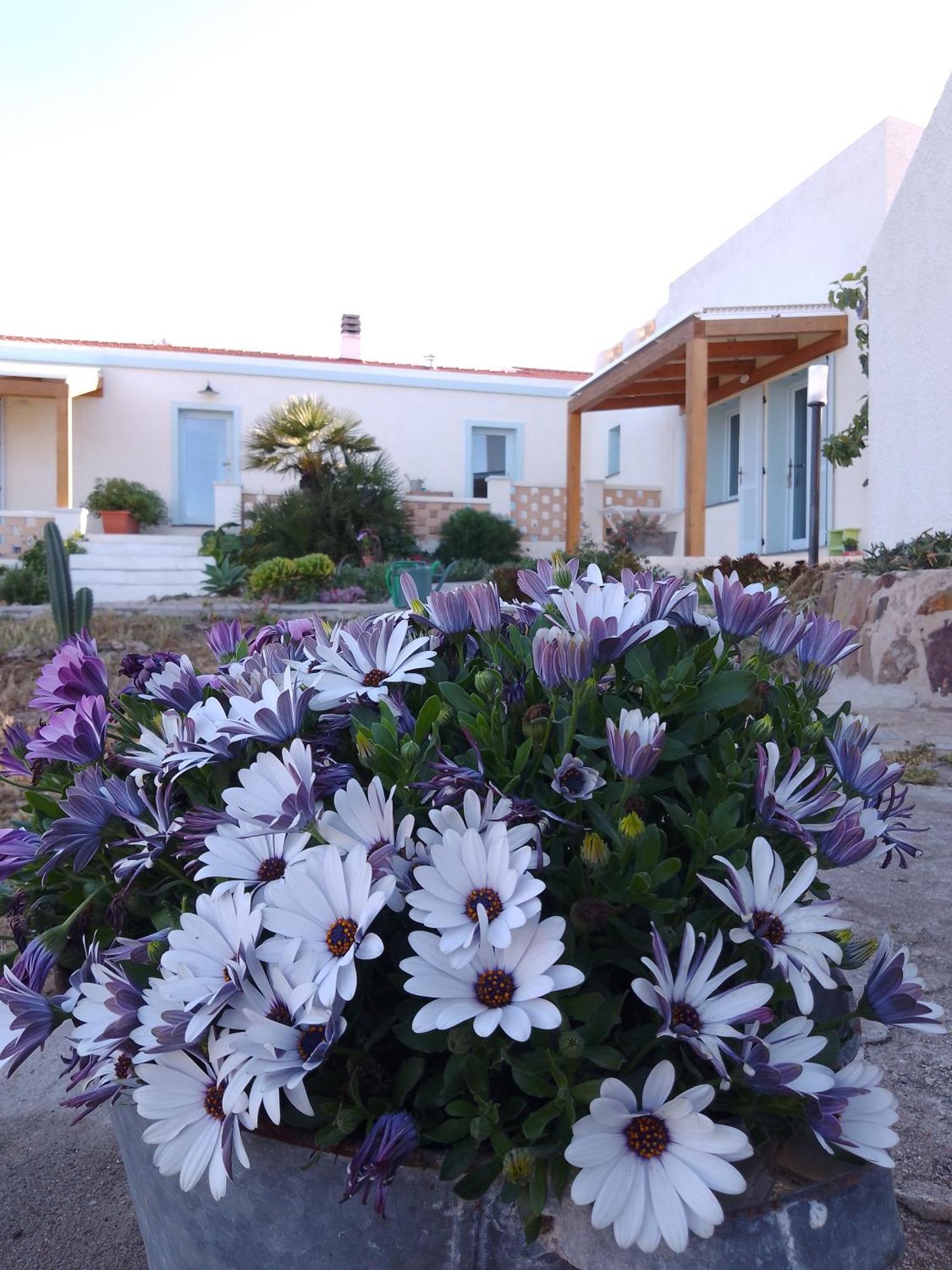 Lispusada Agriturismo Adults Only Biancareddu Exterior foto